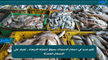 تغير جديد في أسعار الأسماك بسوق الجملة الأربعاء.. تعرف على الأسعار المحدثة